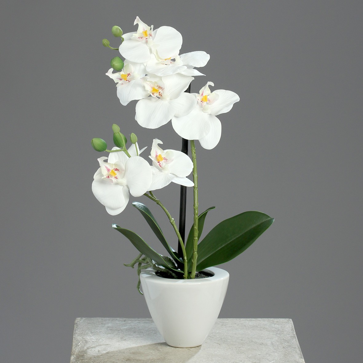 Fleurs artificielle au meilleur prix | Leroy Merlin