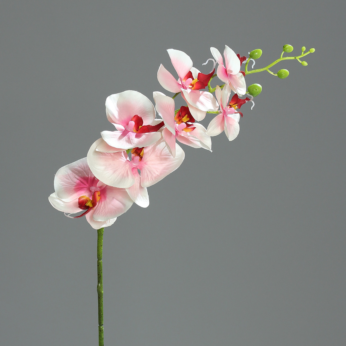 Fleurons 83cm 7 Orchidée Phalaenopsis Rose SUVMzp