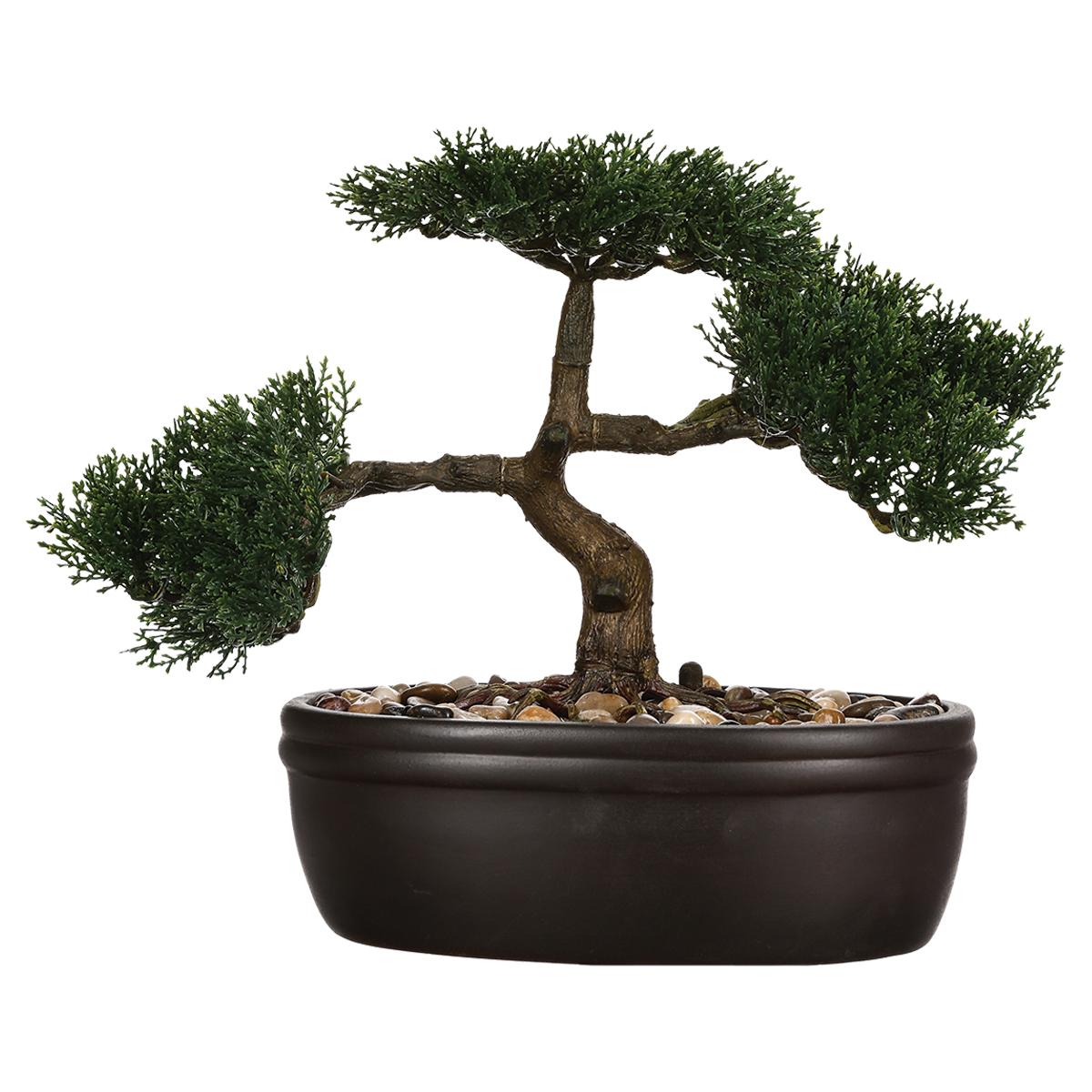  Bonsai  dans son pot  en  c ramique noir d cor cailloux H23cm 