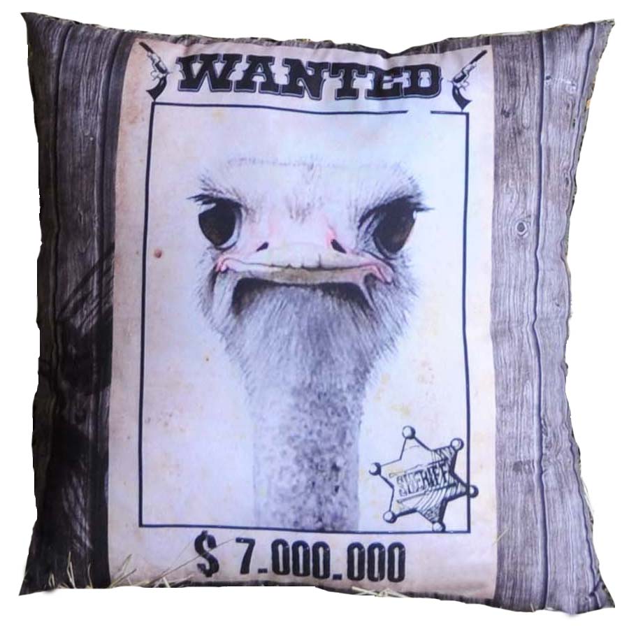 Coussin Humour Wanted Autruche 40x40cm Wanted Coussins Deco Pier Import