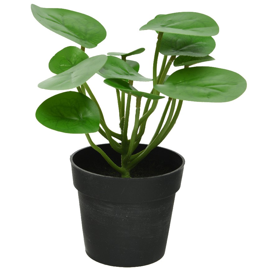Plante Artificielle En Pot Hill Interiors - Blanc - 70x135 Cm - Neuf