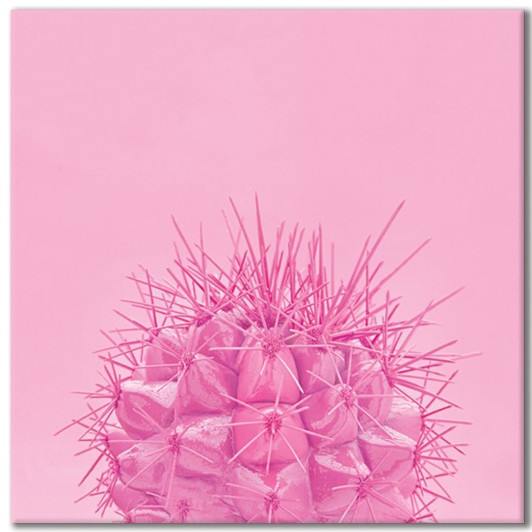 Tableau Toile Cactus Fond Rose Photos Imprimees Pier Import Tableau Toile Cactus Fond Rose Photos Imprimees Pier Import
