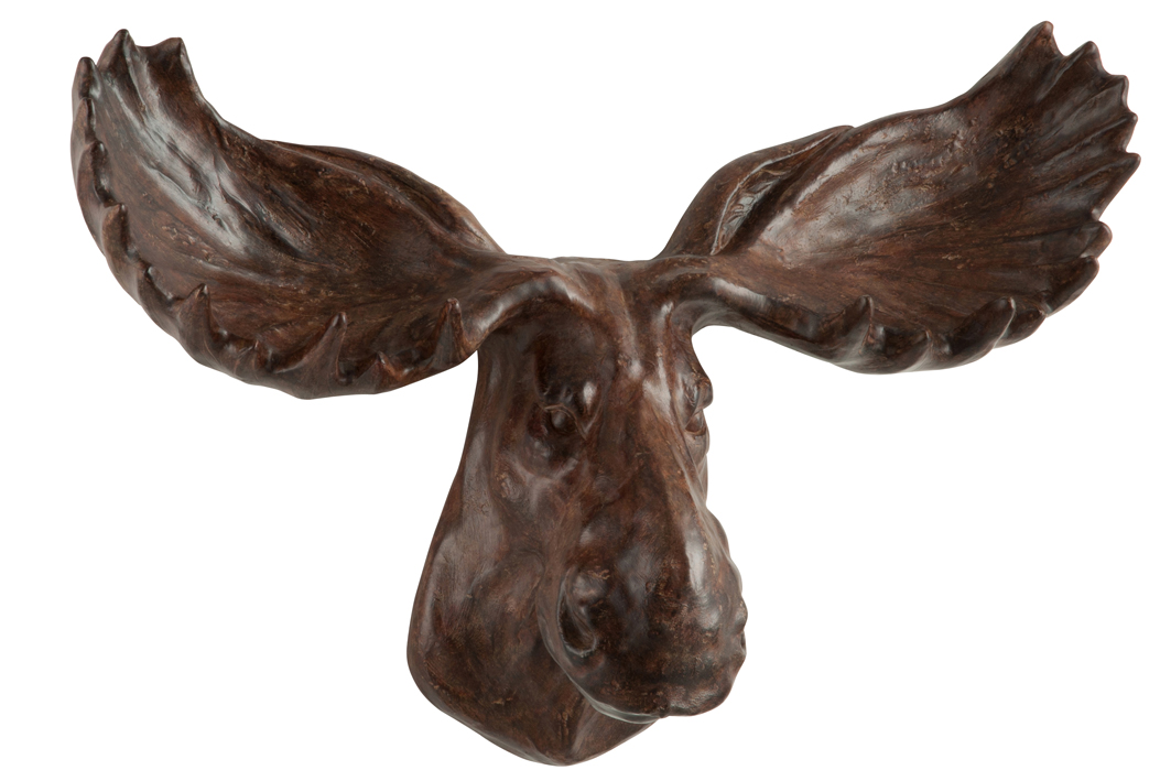 Faisan naturalisé taxidermie chasse cabinet de curiosité déco - Oiseaux